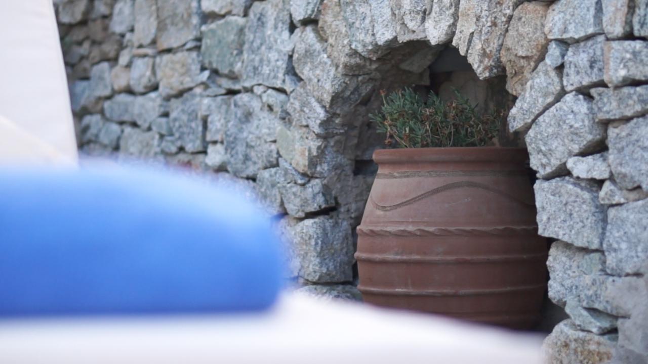 Dionysos Luxury Hotel Mykonos Ornos  Luaran gambar